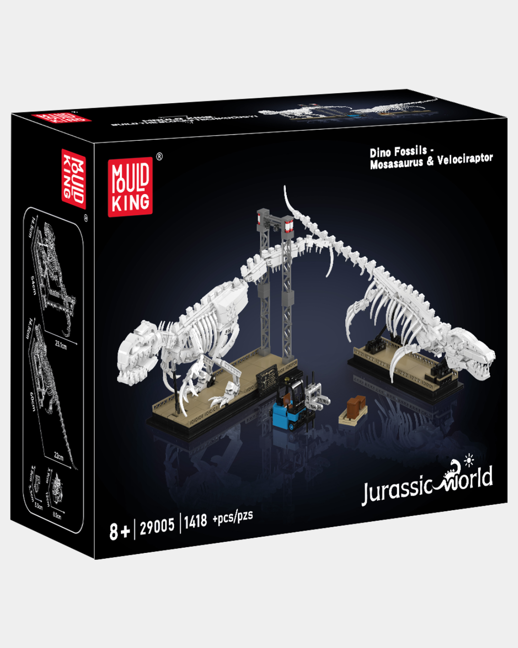 Mosasaurus & Velociraptor Fossils