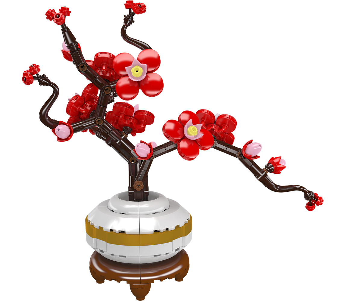 Plum Blossom