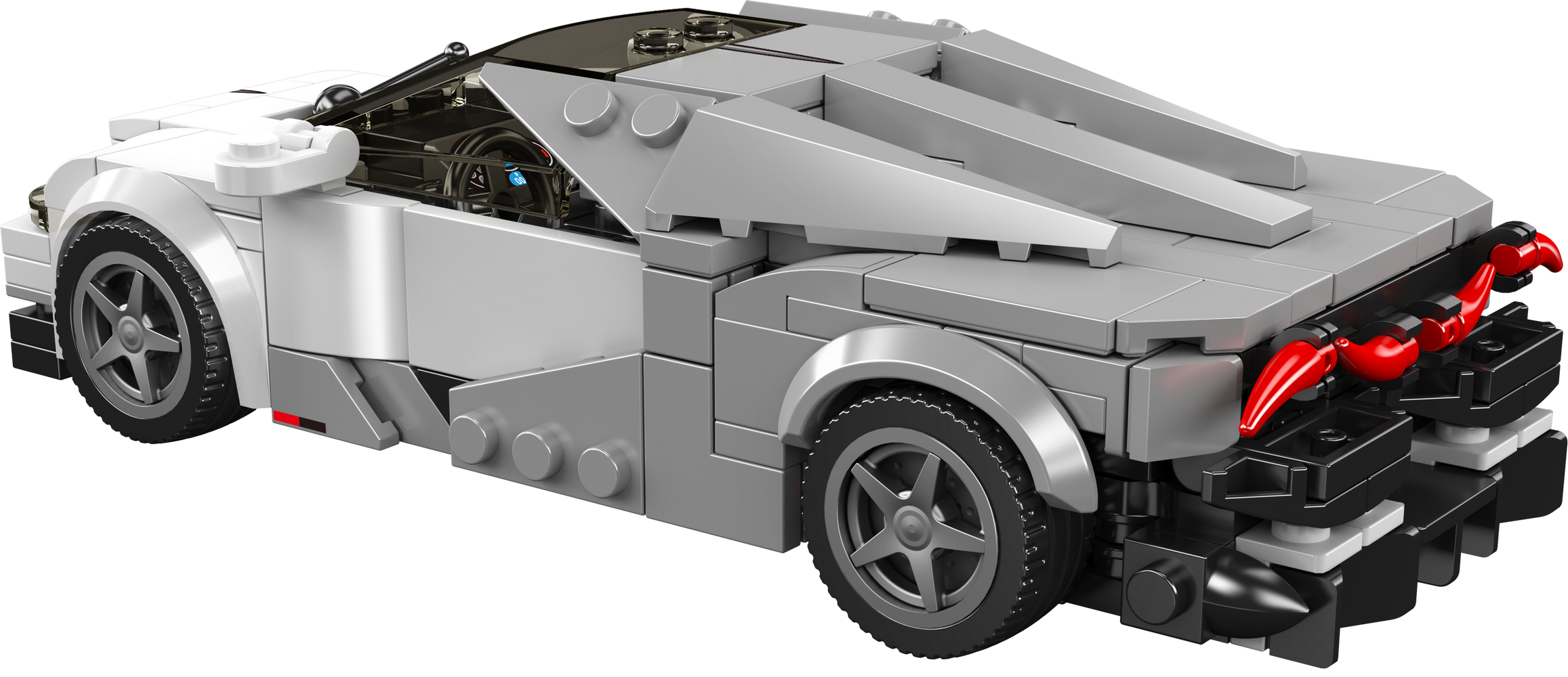 Tourbillon + Showcase