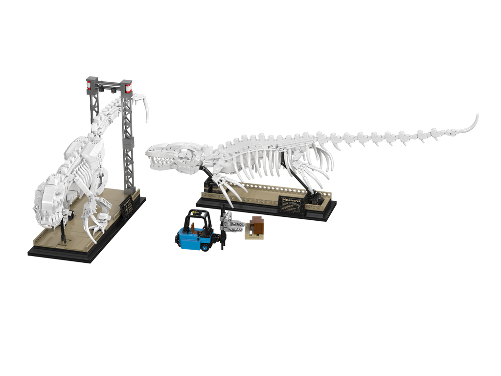 Mosasaurus & Velociraptor Fossils