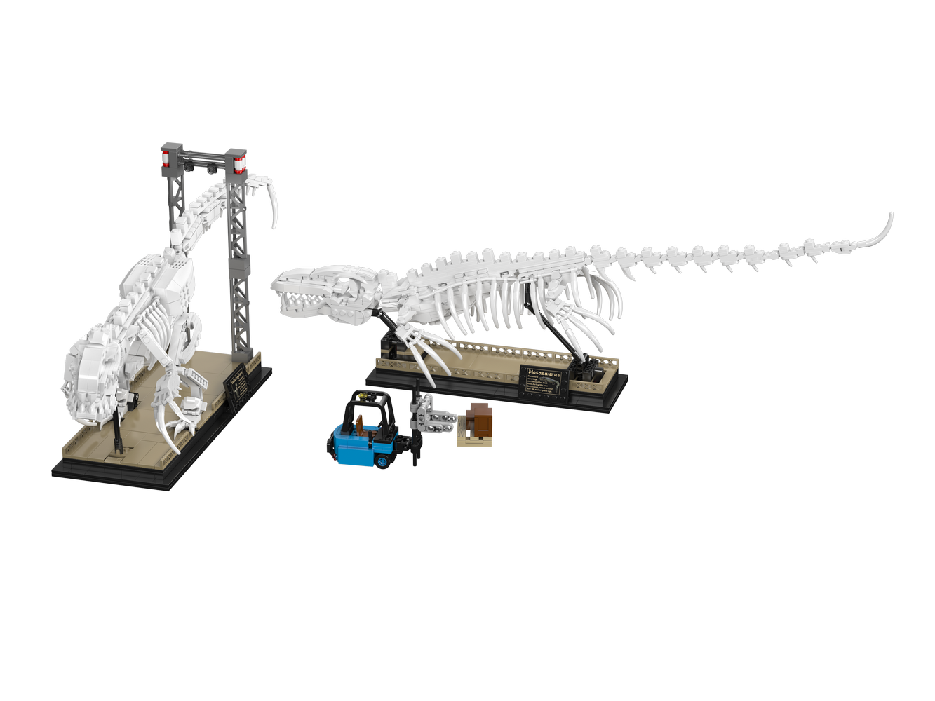 Mosasaurus & Velociraptor Fossils