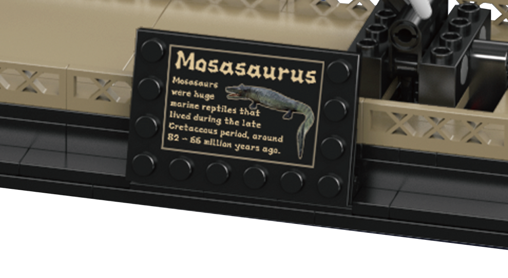 Mosasaurus & Velociraptor Fossils