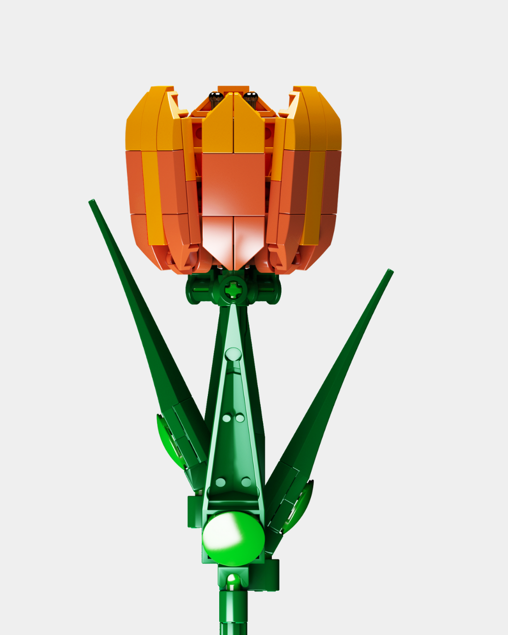 Tulip #2